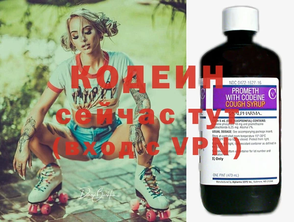 дживик Белокуриха