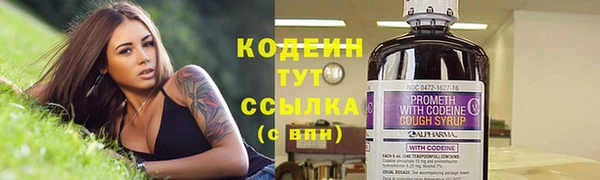 дживик Белокуриха