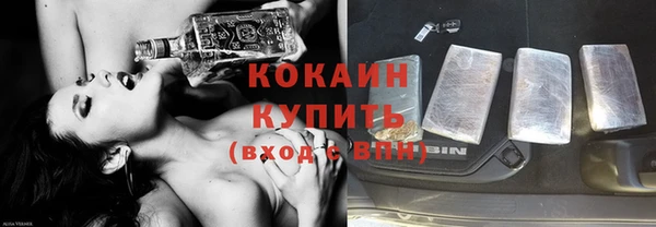 дживик Белокуриха