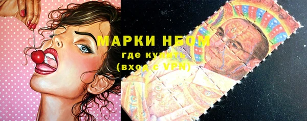 дживик Белокуриха