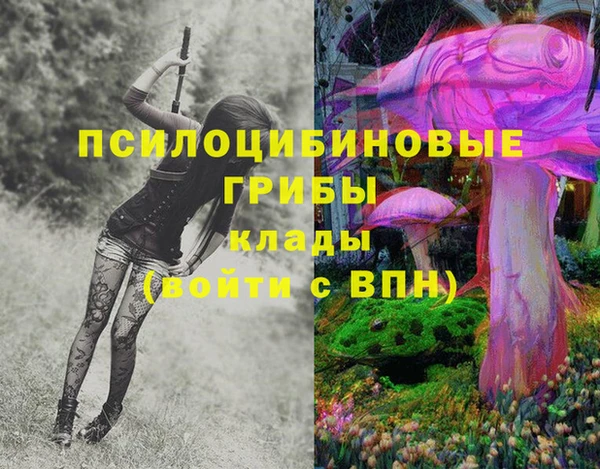 дживик Белокуриха
