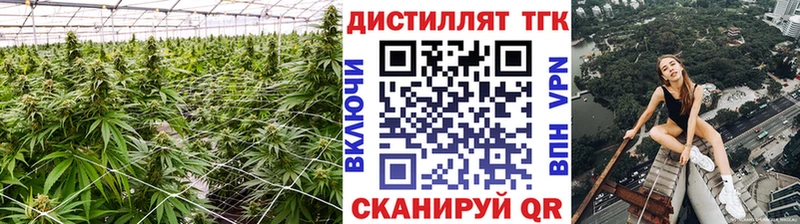 хочу   Вязьма  ТГК вейп 