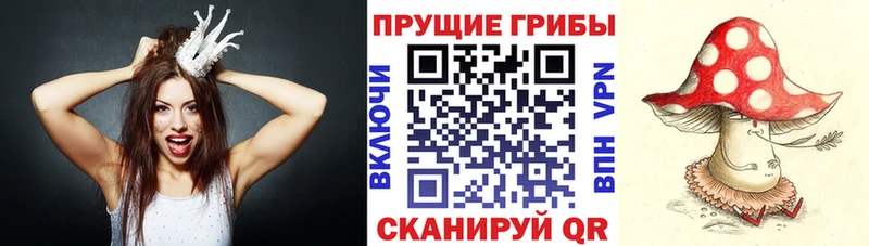 ОМГ ОМГ как войти  где купить наркоту  Вязьма  Галлюциногенные грибы прущие грибы 